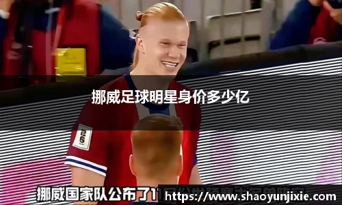 挪威足球明星身价多少亿