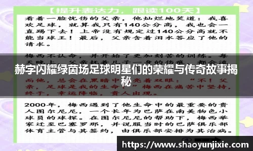 赫字闪耀绿茵场足球明星们的荣耀与传奇故事揭秘