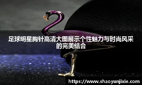 足球明星胸针高清大图展示个性魅力与时尚风采的完美结合